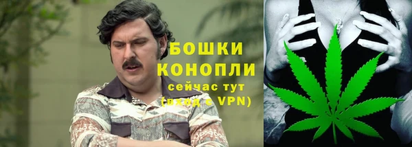 ALPHA PVP Покров