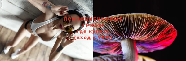 гидропоника Тольятти