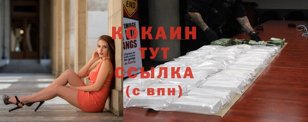ALPHA PVP Покров