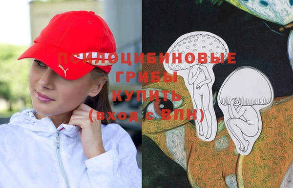 мескалин Покачи