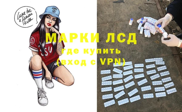гидра Богородск