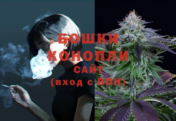 ALPHA PVP Покров