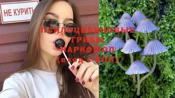 мескалин Покачи