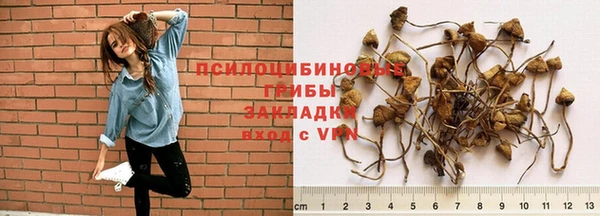 ALPHA PVP Покров