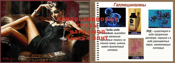 ALPHA PVP Покров