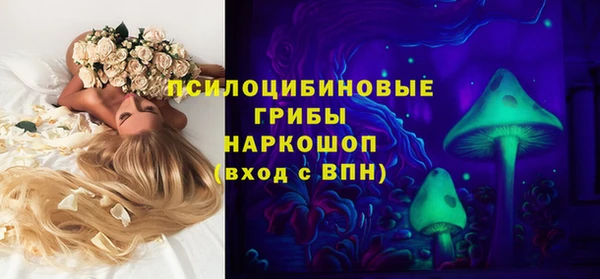 мескалин Покачи