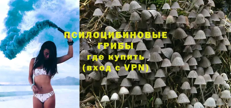 что такое   Ряжск  hydra ССЫЛКА  Галлюциногенные грибы мухоморы 